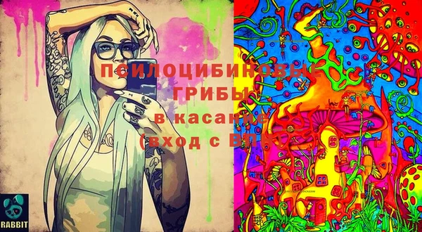 соль курить ск Осташков