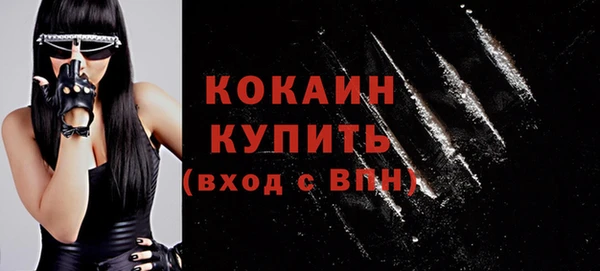 винт Осинники