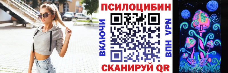 где можно купить   Кирсанов  Псилоцибиновые грибы Psilocybe 