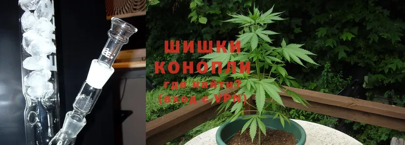 Бошки Шишки THC 21%  мориарти клад  Кирсанов 